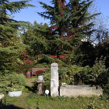 Villa-Magdi Vendeghaz Révfülöp Εξωτερικό φωτογραφία