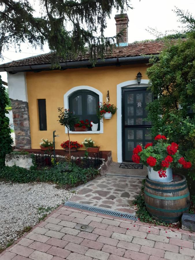 Villa-Magdi Vendeghaz Révfülöp Εξωτερικό φωτογραφία
