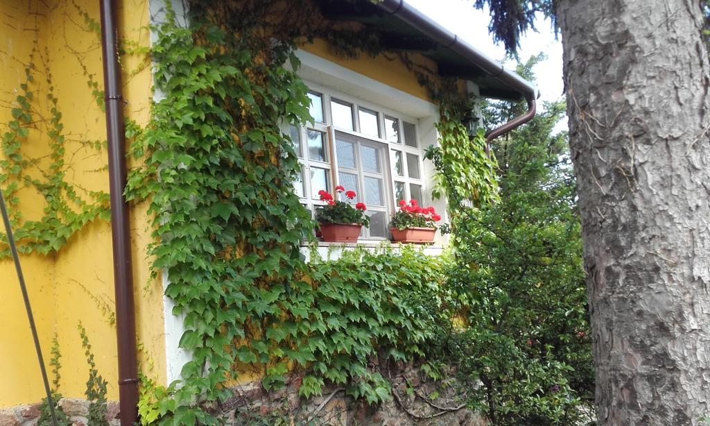 Villa-Magdi Vendeghaz Révfülöp Εξωτερικό φωτογραφία