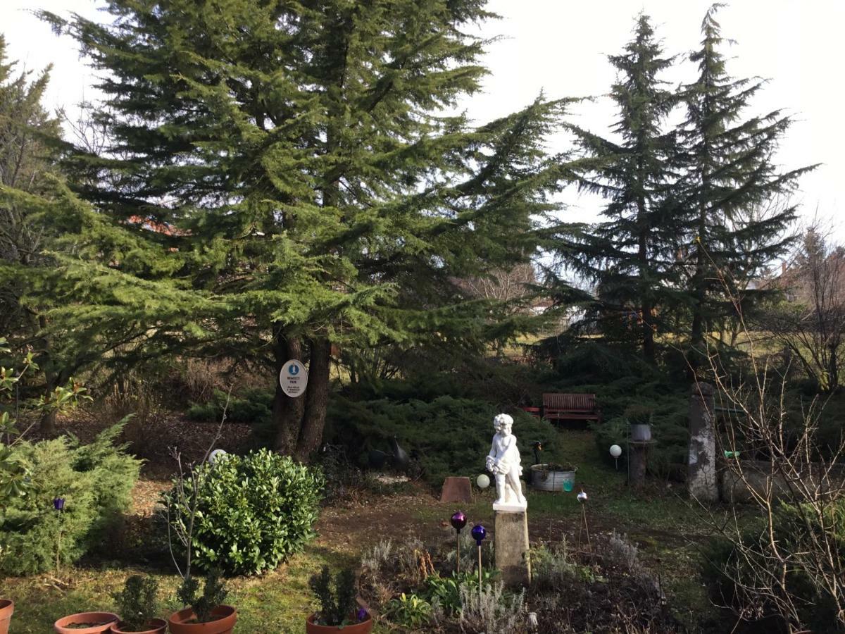 Villa-Magdi Vendeghaz Révfülöp Εξωτερικό φωτογραφία