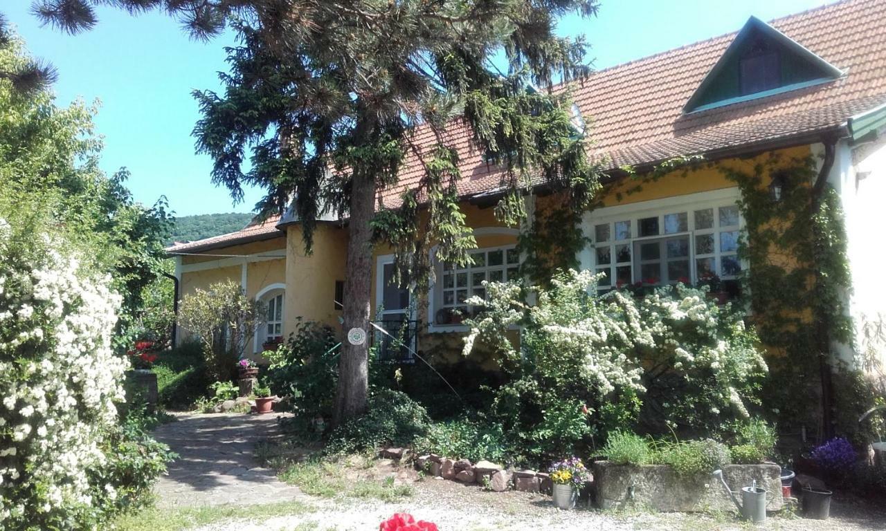 Villa-Magdi Vendeghaz Révfülöp Εξωτερικό φωτογραφία