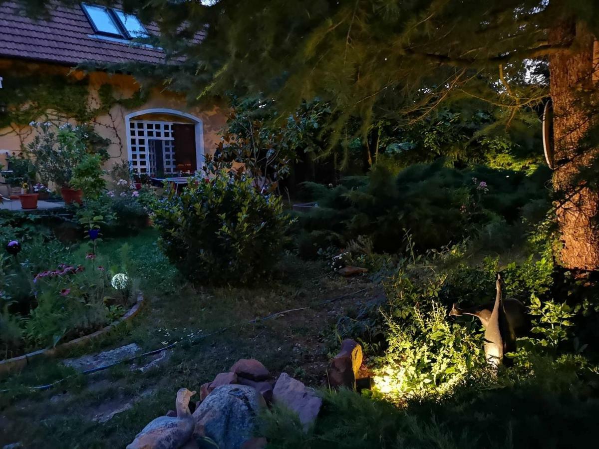 Villa-Magdi Vendeghaz Révfülöp Εξωτερικό φωτογραφία