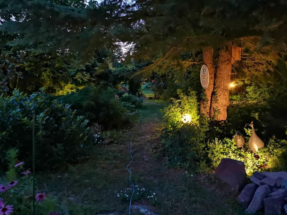 Villa-Magdi Vendeghaz Révfülöp Εξωτερικό φωτογραφία