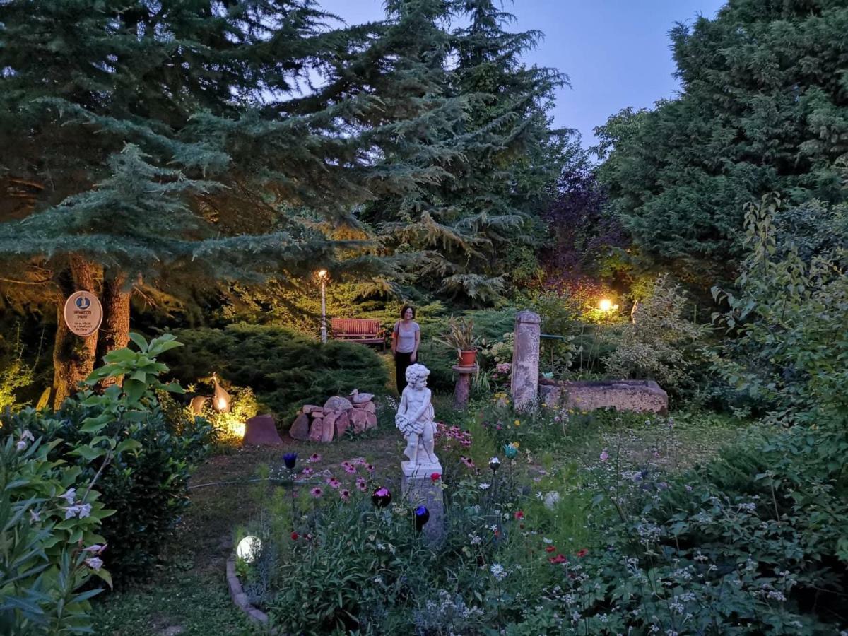 Villa-Magdi Vendeghaz Révfülöp Εξωτερικό φωτογραφία